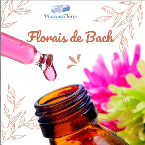 Florais de Bach